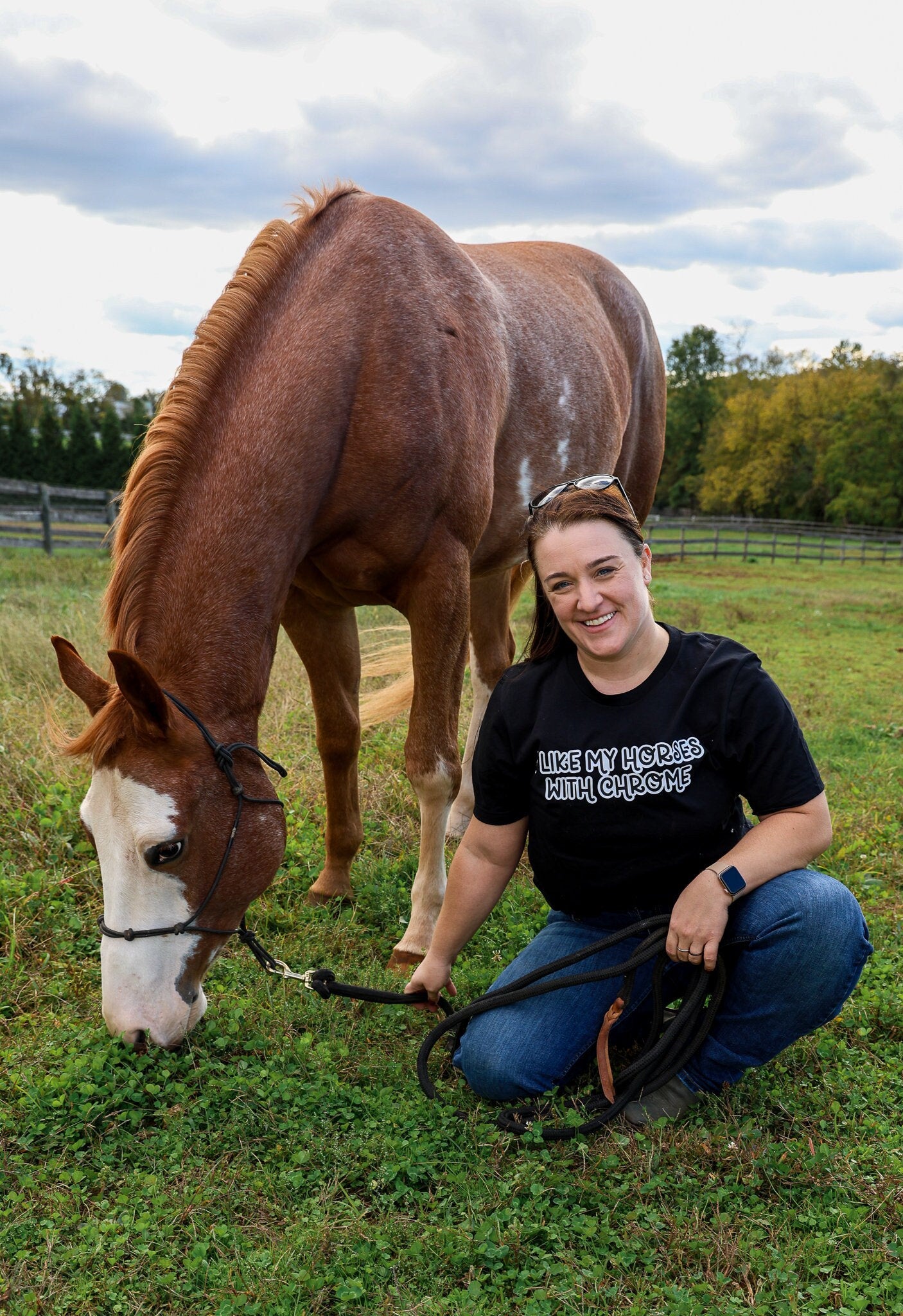 I Like My Horses With Chrome Tee