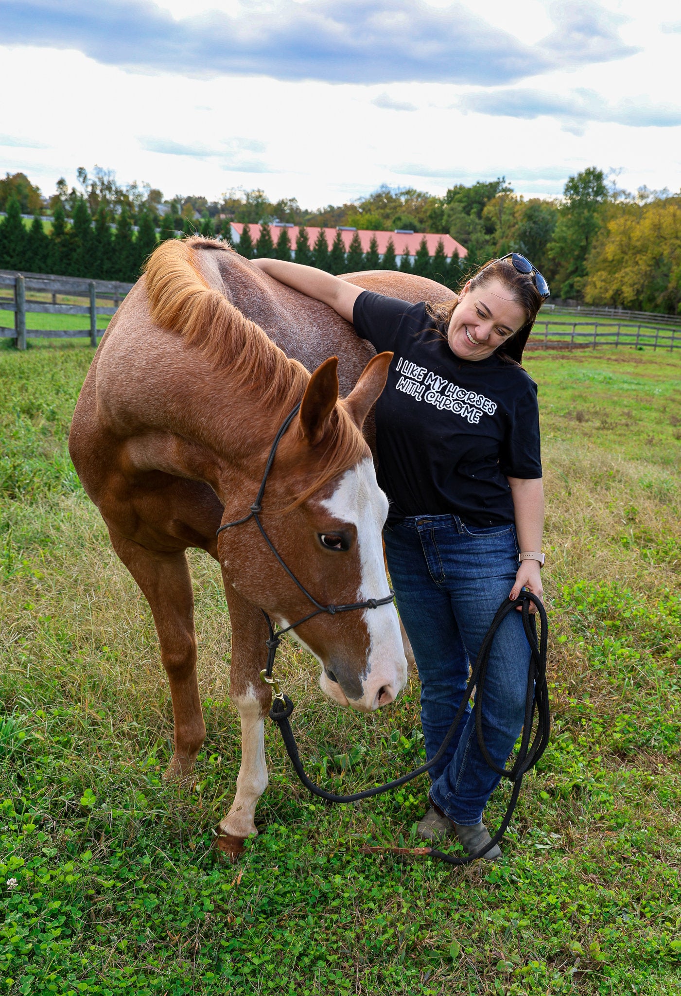 I Like My Horses With Chrome Tee