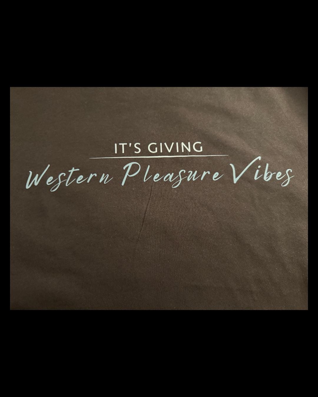 It's Giving "Discipline " Vibes Tee